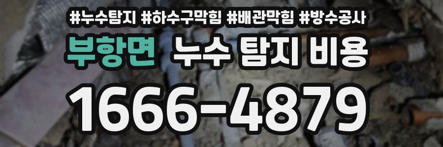 부항면 누수 탐지 비용