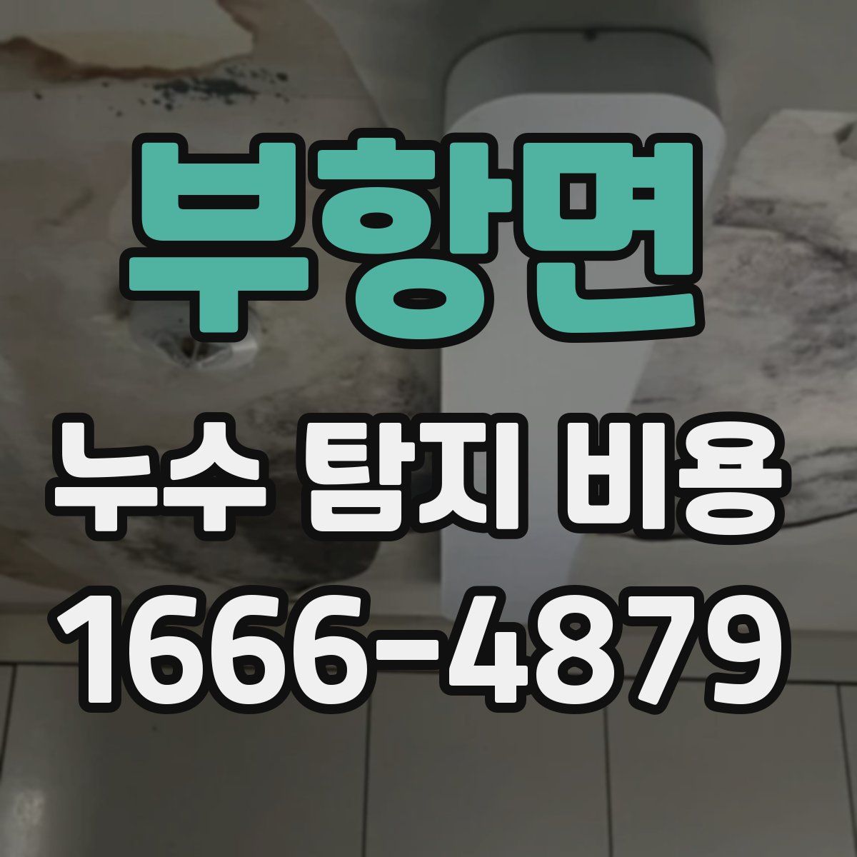 부항면 누수 탐지 비용