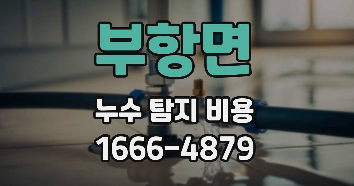 부항면 누수 탐지 비용