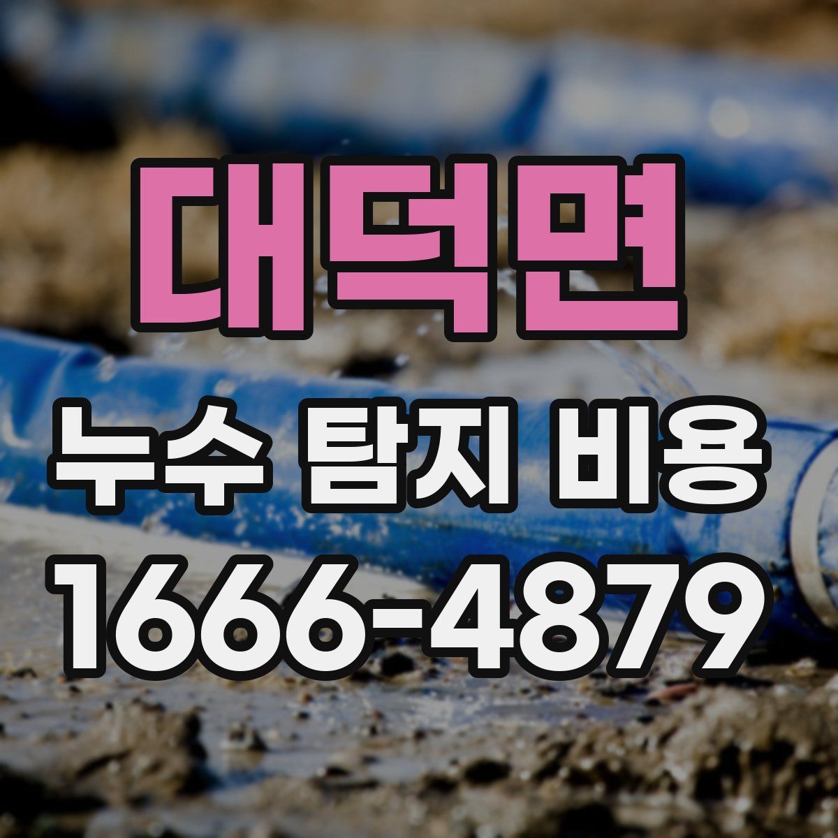 대덕면 누수 탐지 비용