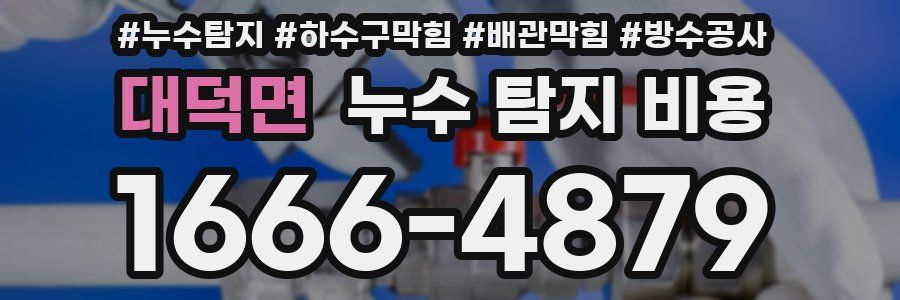 대덕면 누수 탐지 비용