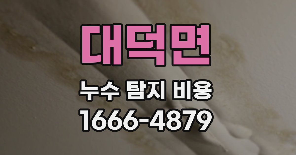 대덕면 누수 탐지 비용