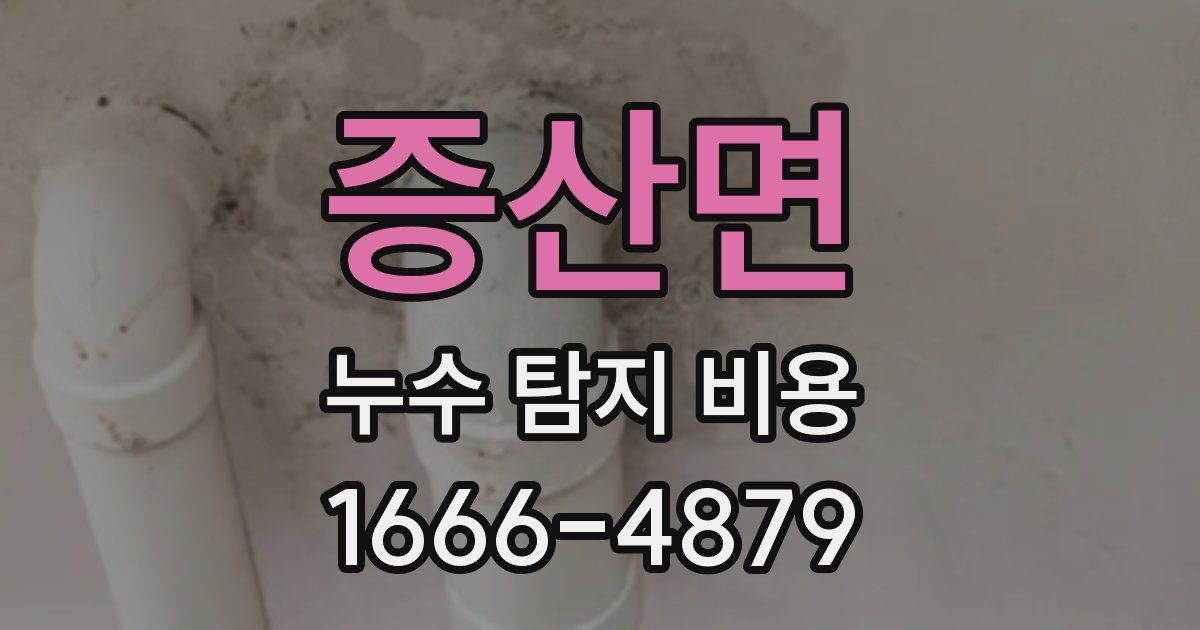 증산면 누수 탐지 비용