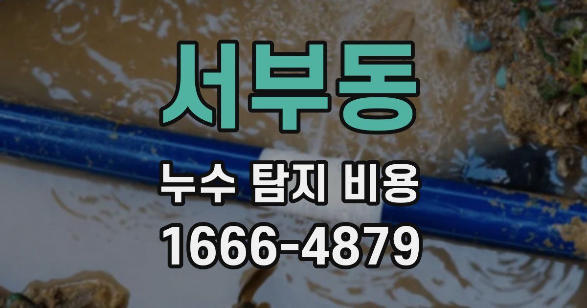 서부동 누수 탐지 비용