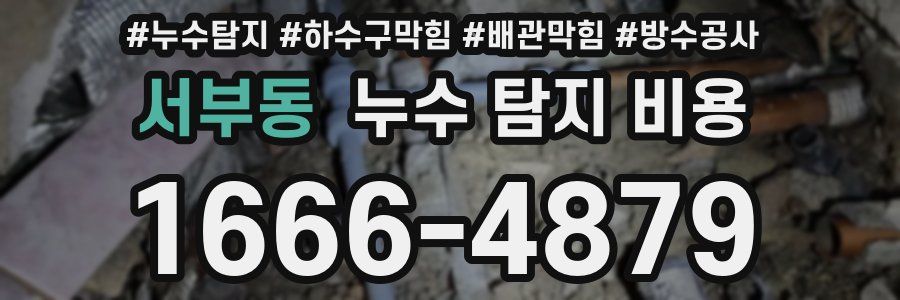 서부동 누수 탐지 비용