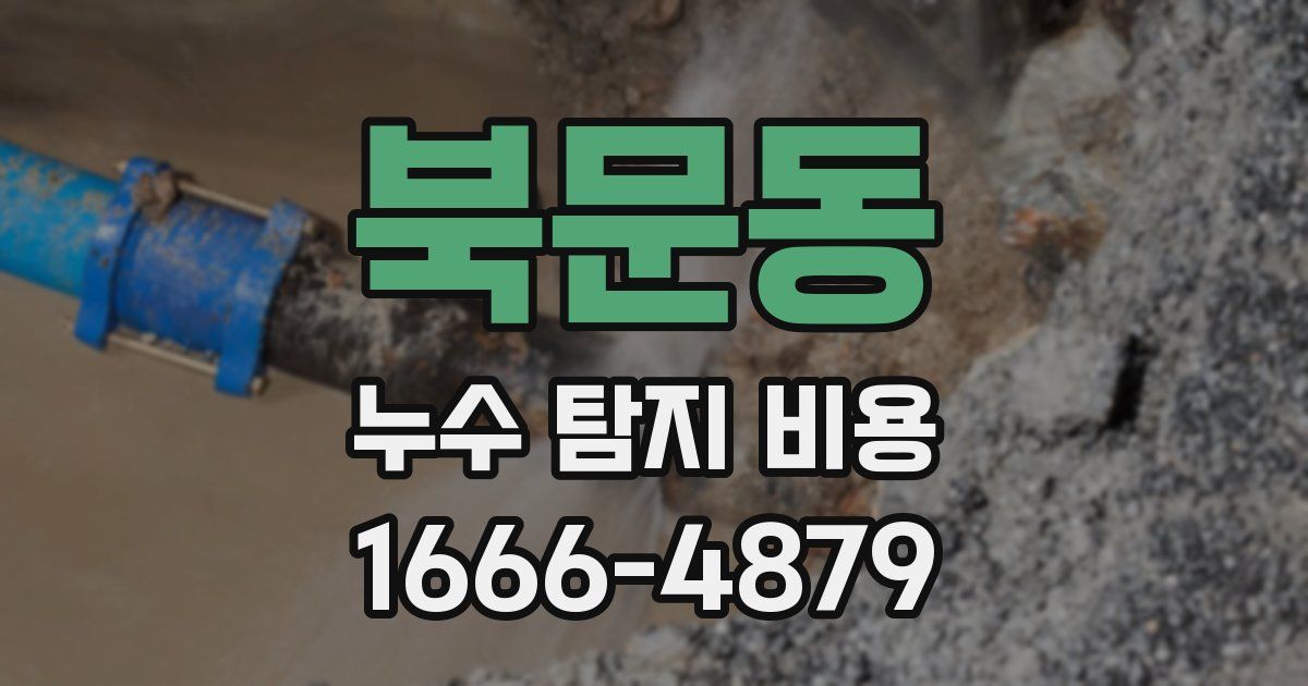 북문동 누수 탐지 비용