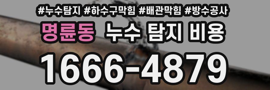 명륜동 누수 탐지 비용
