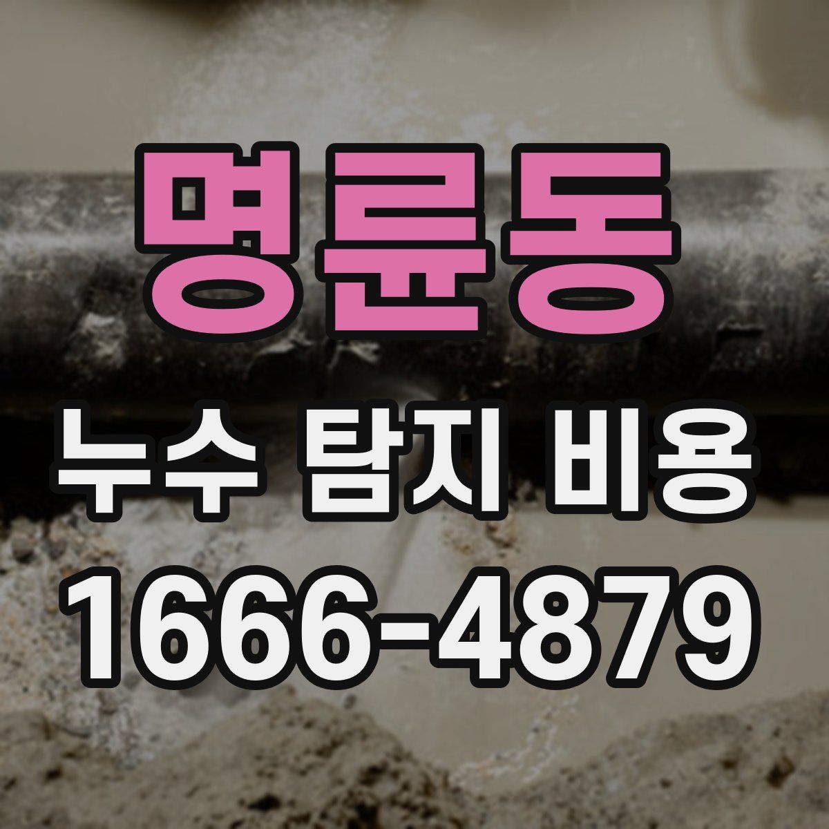 명륜동 누수 탐지 비용