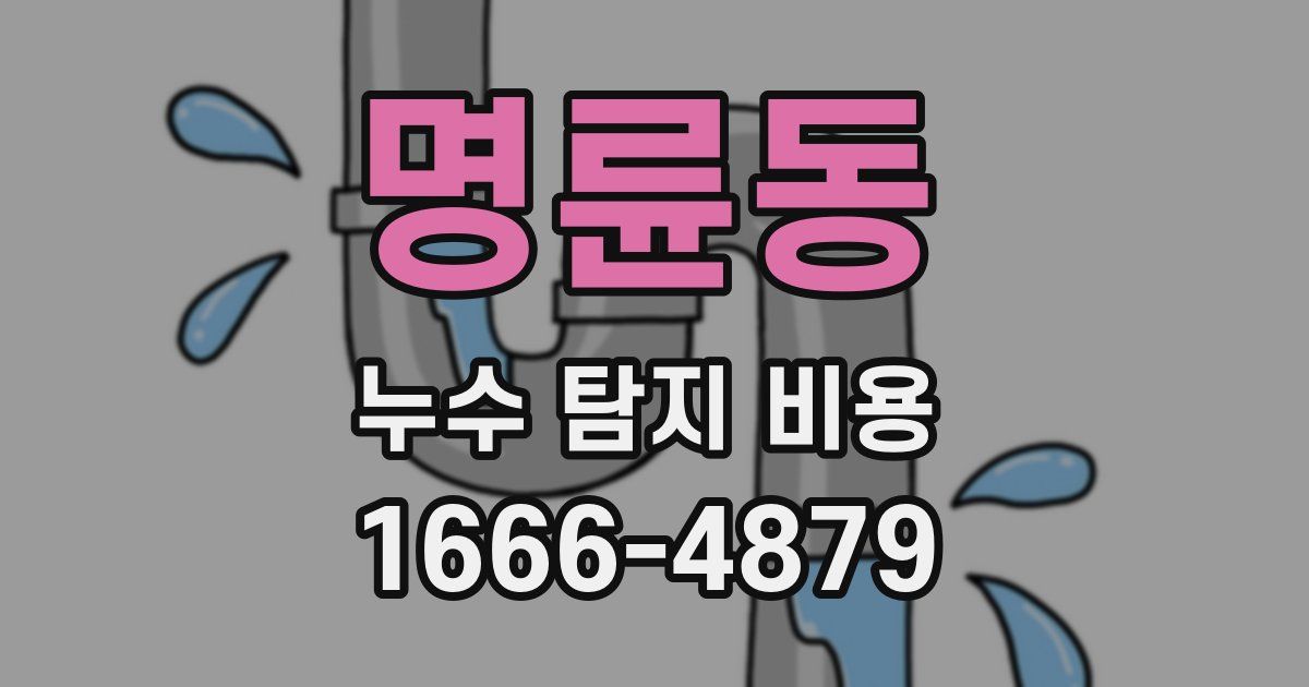 명륜동 누수 탐지 비용