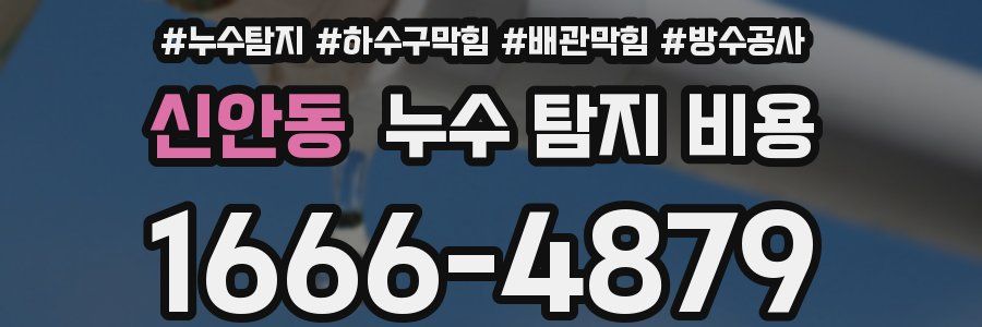 신안동 누수 탐지 비용