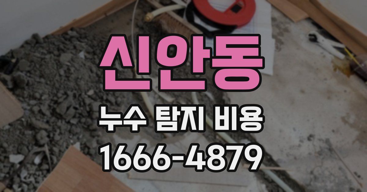 신안동 누수 탐지 비용