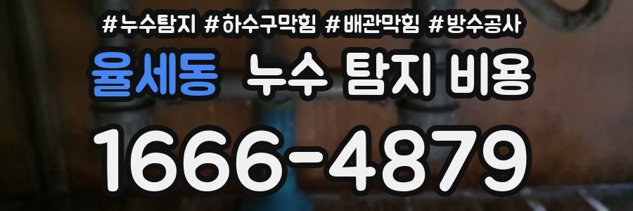 율세동 누수 탐지 비용