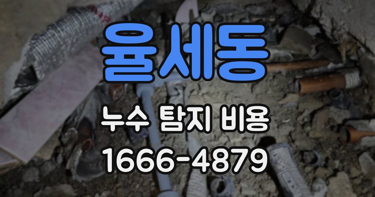 율세동 누수 탐지 비용