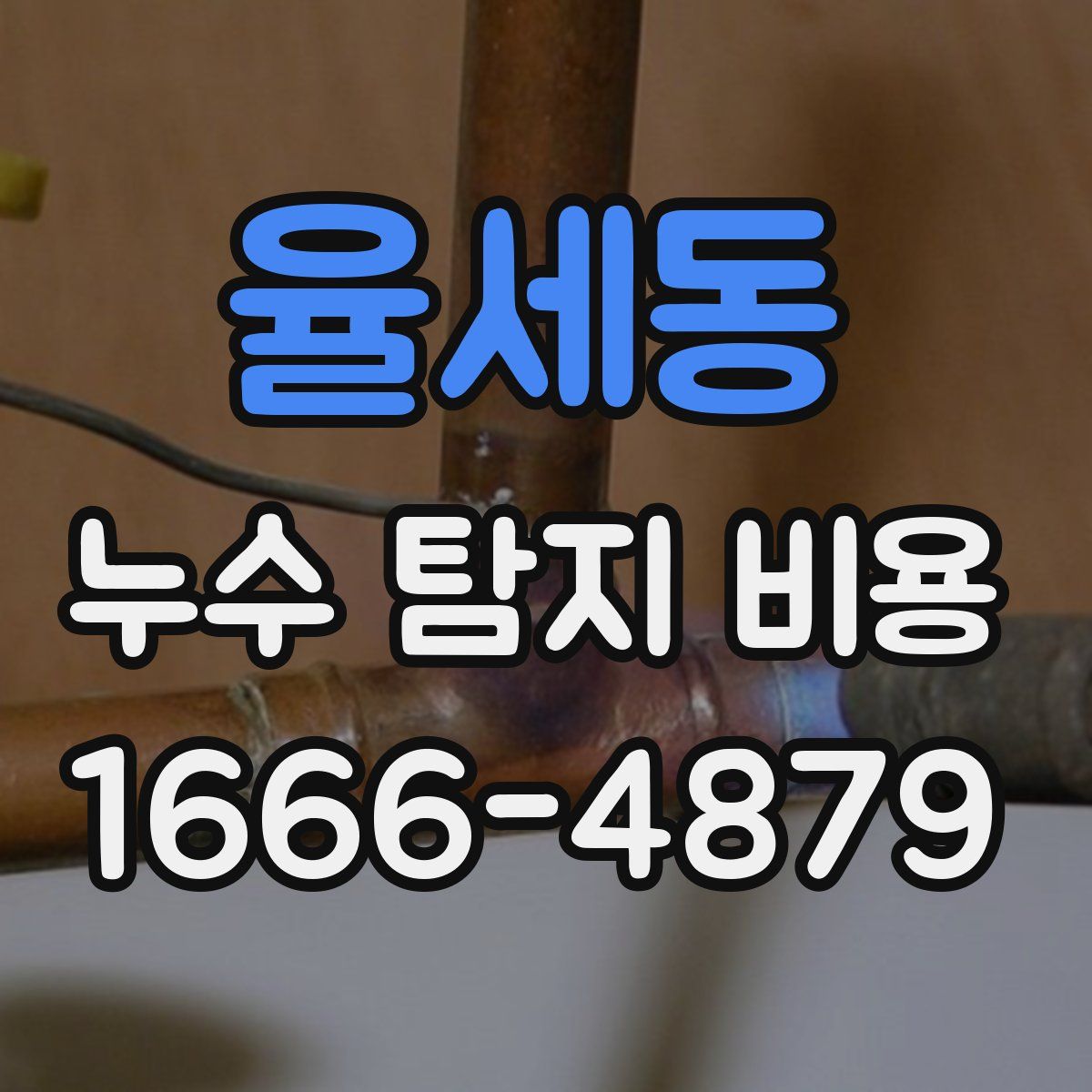 율세동 누수 탐지 비용