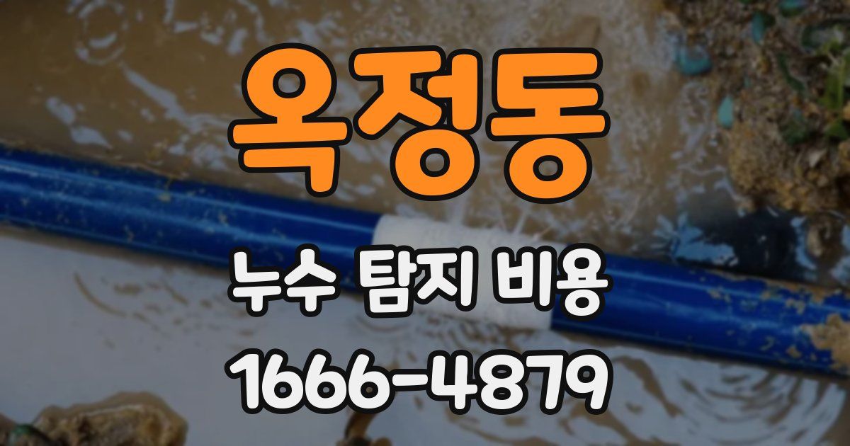 옥정동 누수 탐지 비용