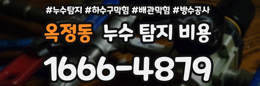 옥정동 누수 탐지 비용