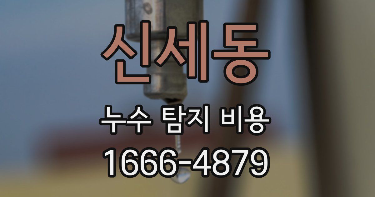 신세동 누수 탐지 비용