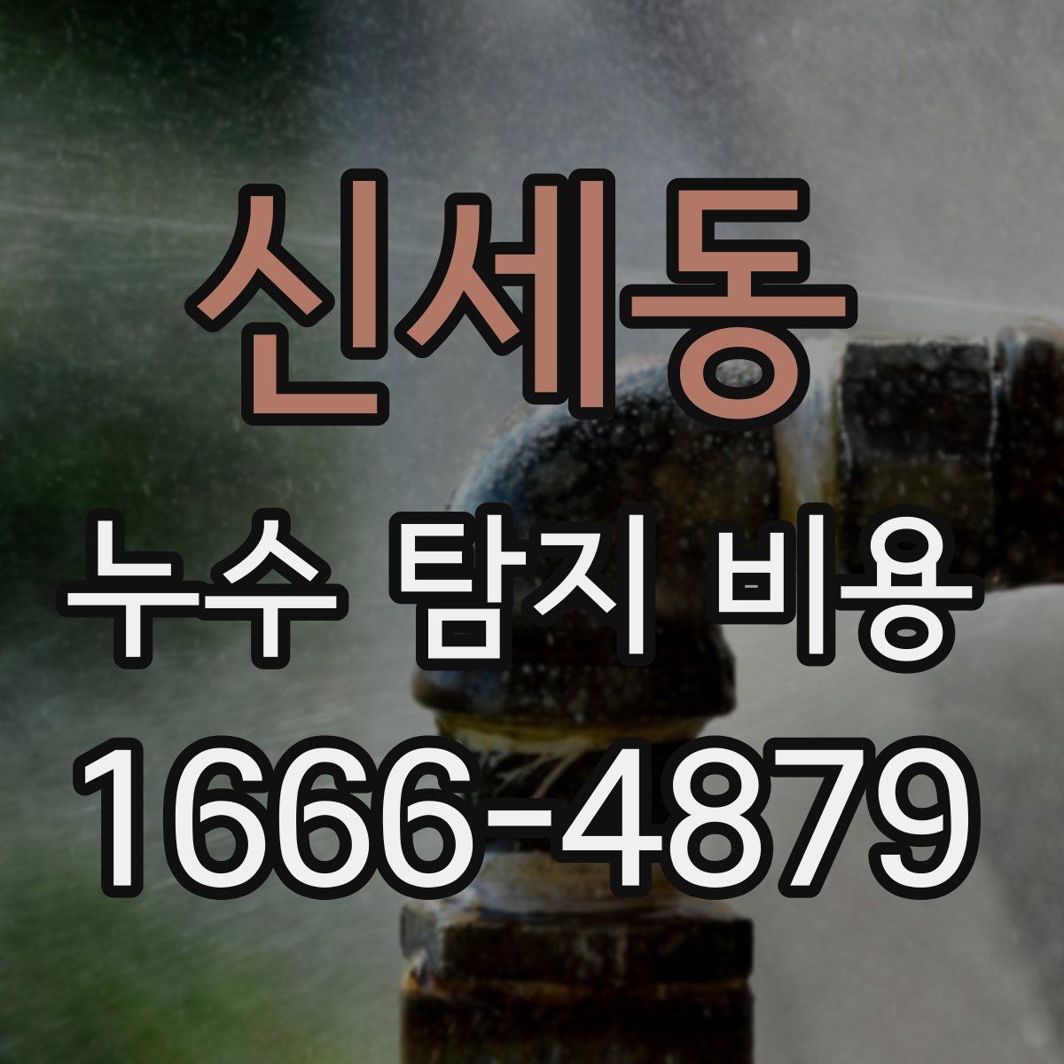 신세동 누수 탐지 비용