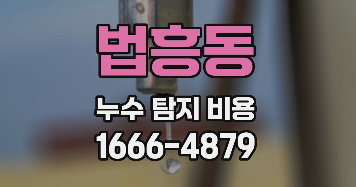 법흥동 누수 탐지 비용
