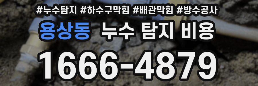 용상동 누수 탐지 비용