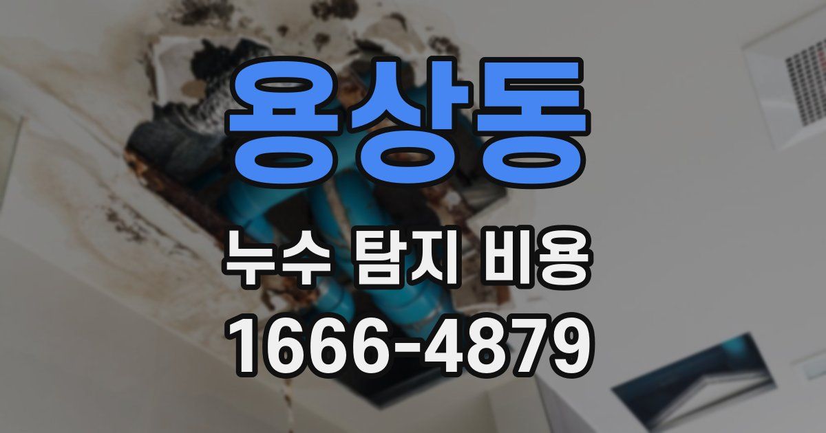 용상동 누수 탐지 비용