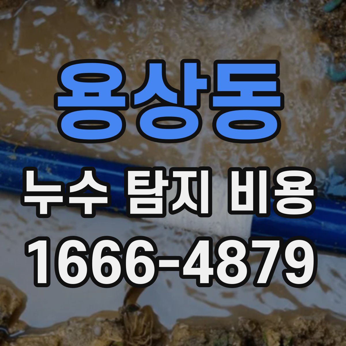 용상동 누수 탐지 비용