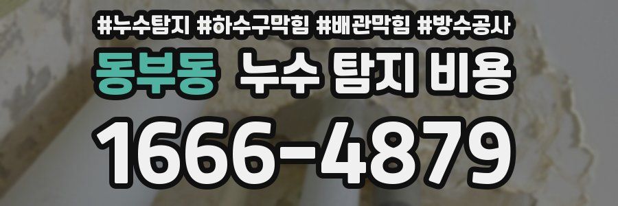 동부동 누수 탐지 비용