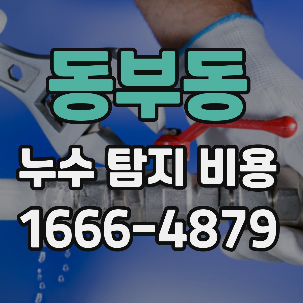 동부동 누수 탐지 비용