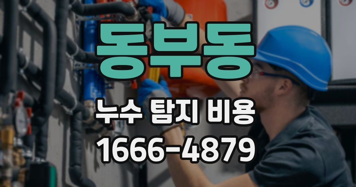 동부동 누수 탐지 비용