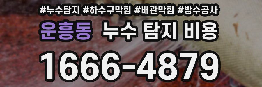 운흥동 누수 탐지 비용
