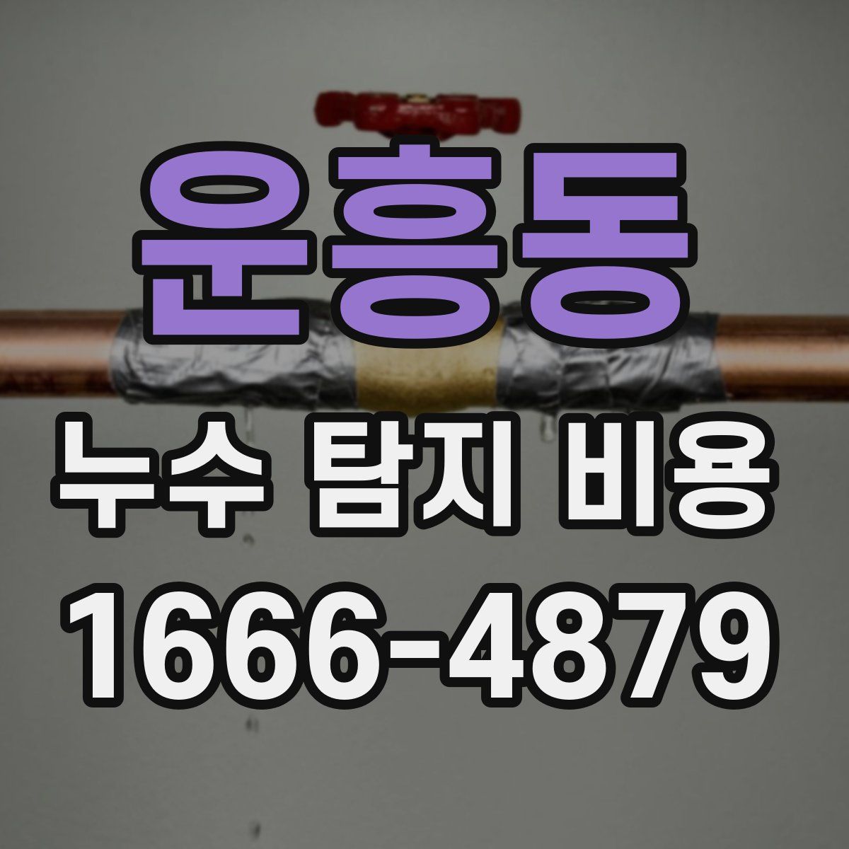 운흥동 누수 탐지 비용
