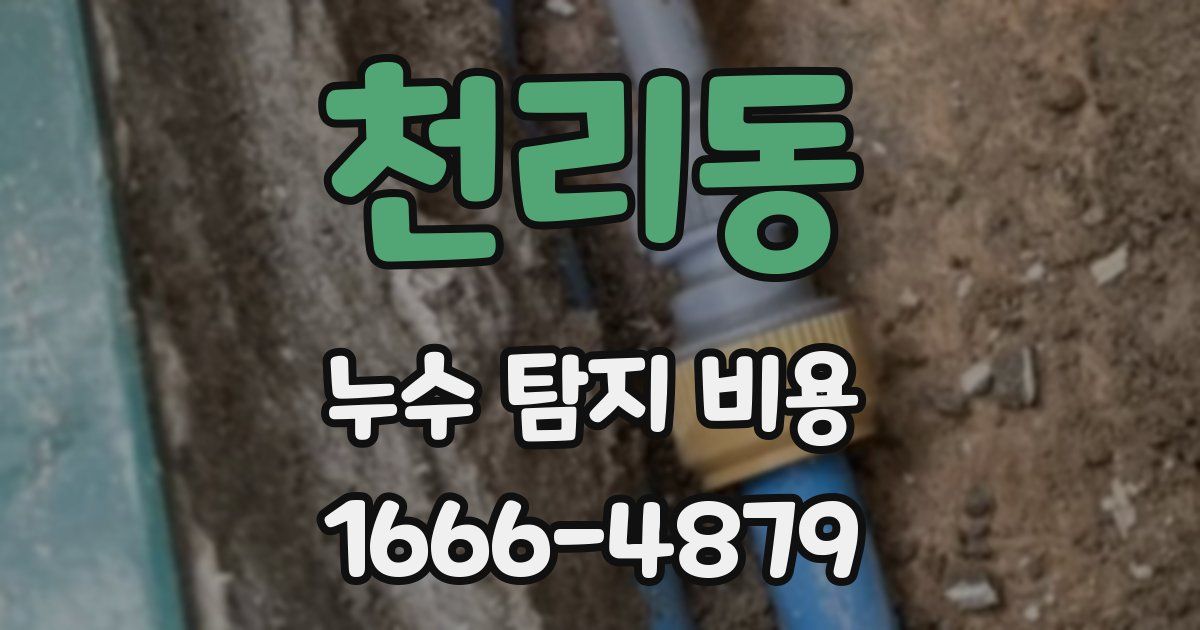 천리동 누수 탐지 비용