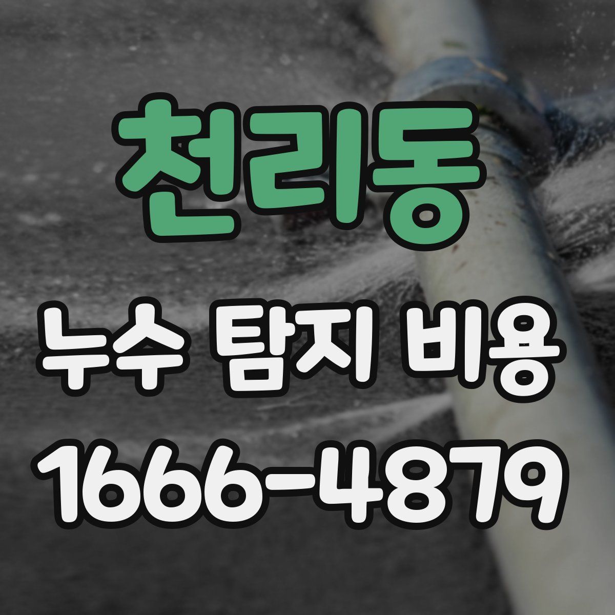 천리동 누수 탐지 비용