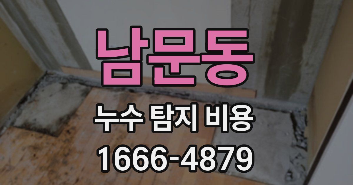 남문동 누수 탐지 비용