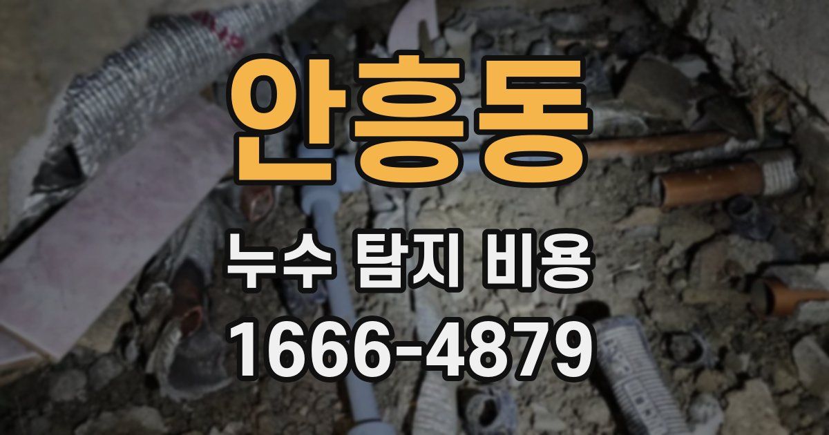 안흥동 누수 탐지 비용
