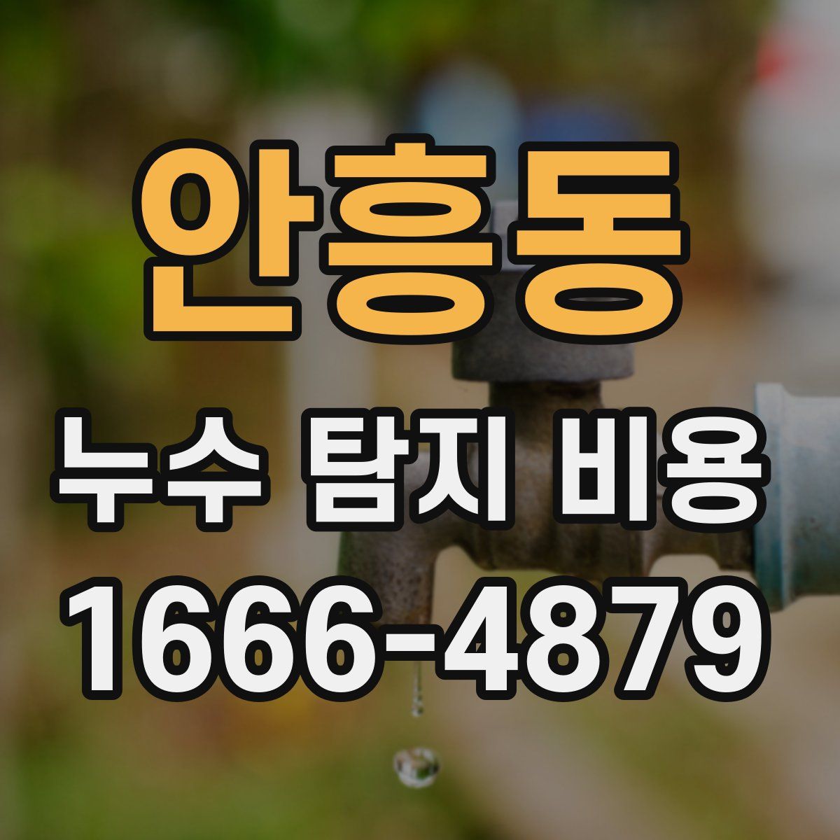 안흥동 누수 탐지 비용