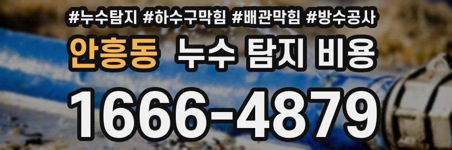 안흥동 누수 탐지 비용