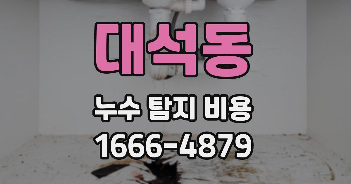 대석동 누수 탐지 비용