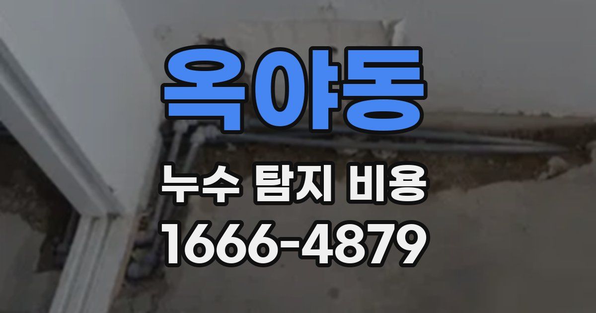 옥야동 누수 탐지 비용