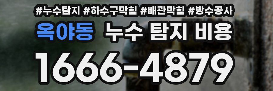 옥야동 누수 탐지 비용