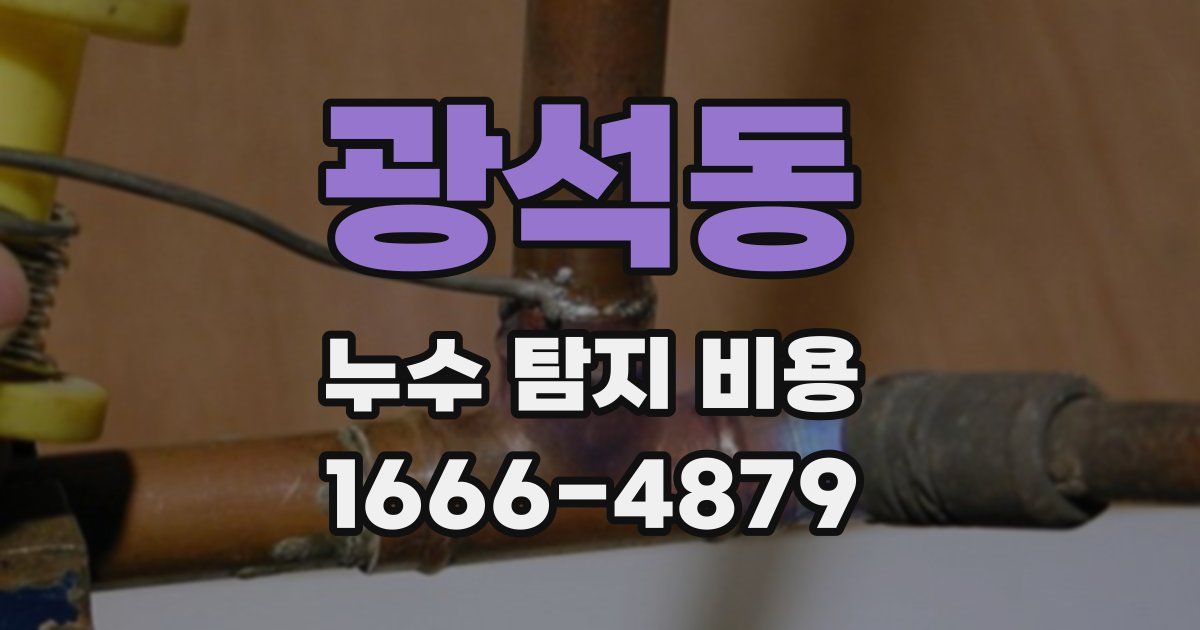 광석동 누수 탐지 비용