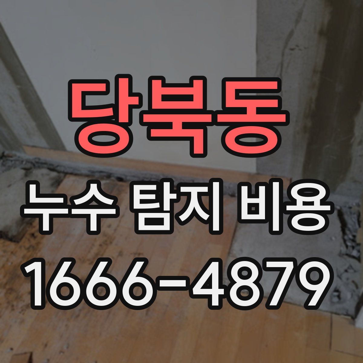 당북동 누수 탐지 비용