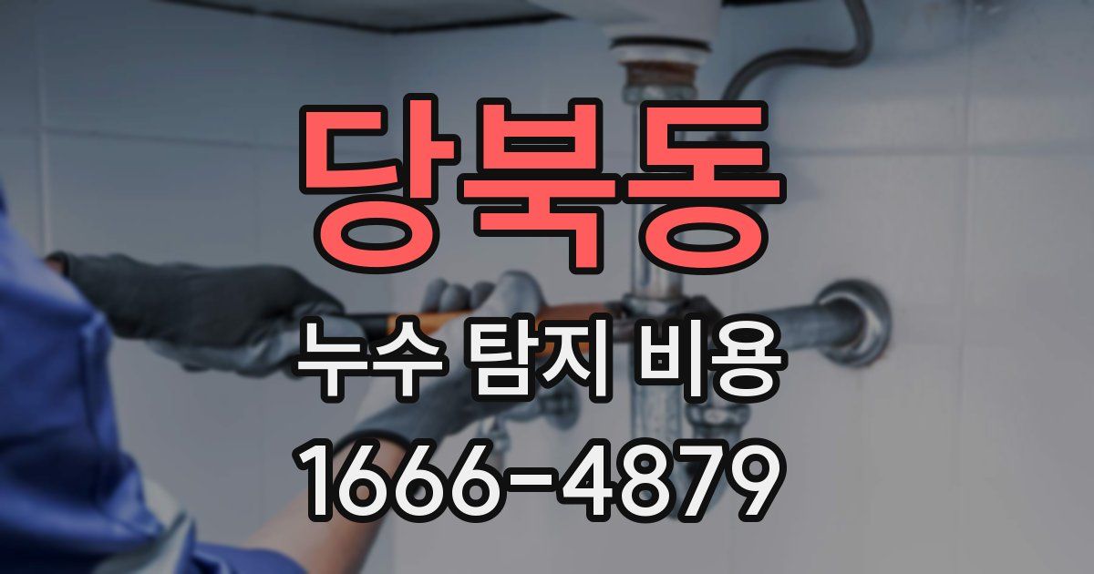 당북동 누수 탐지 비용