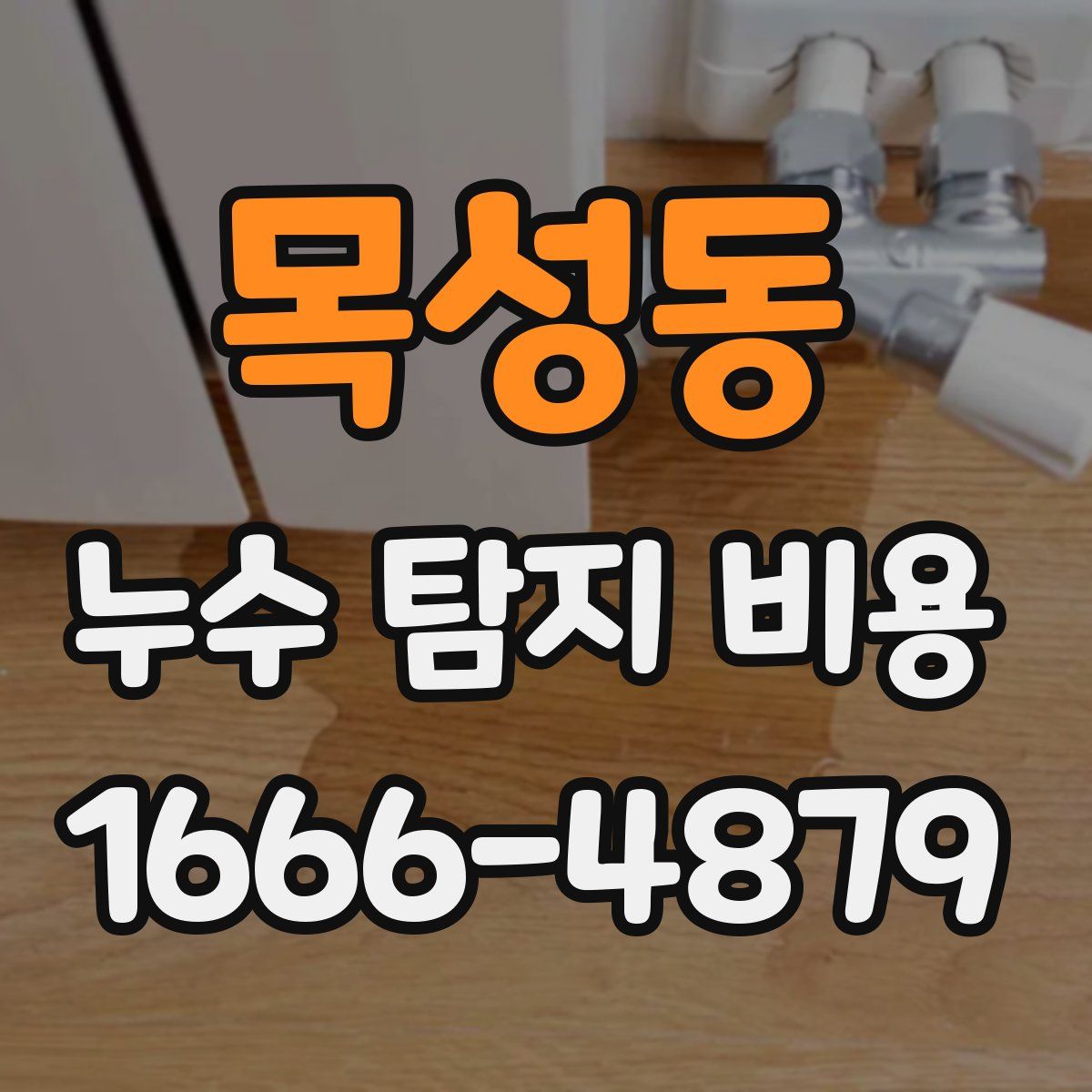 목성동 누수 탐지 비용