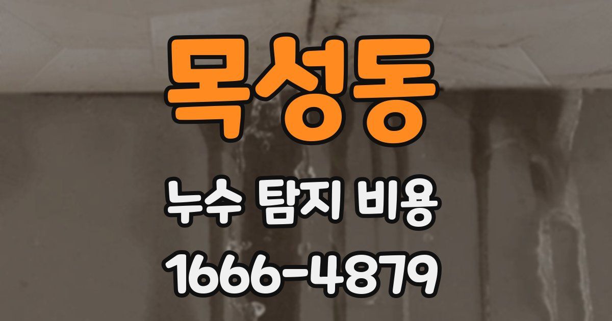 목성동 누수 탐지 비용