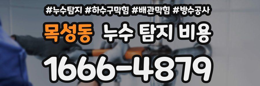 목성동 누수 탐지 비용