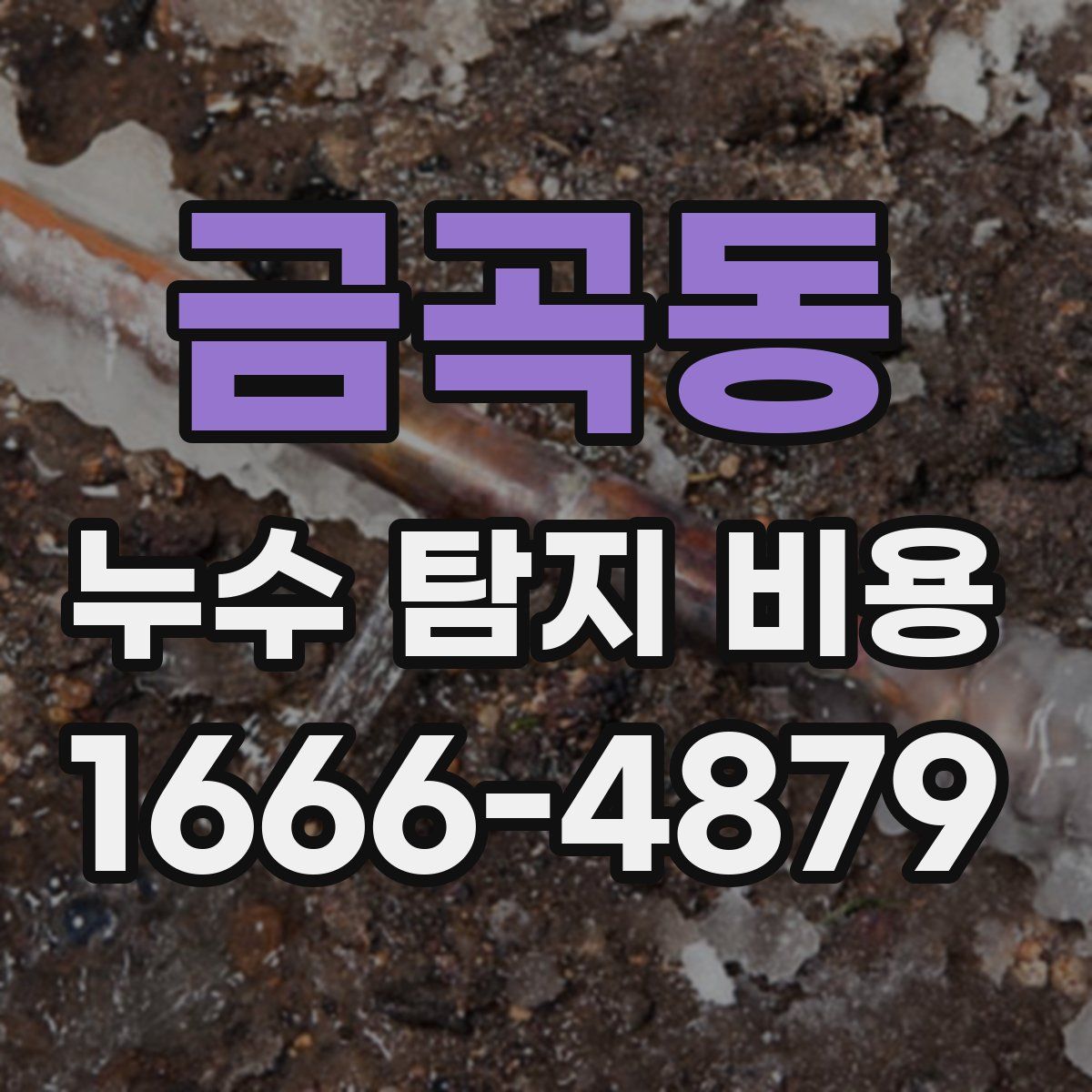 금곡동 누수 탐지 비용