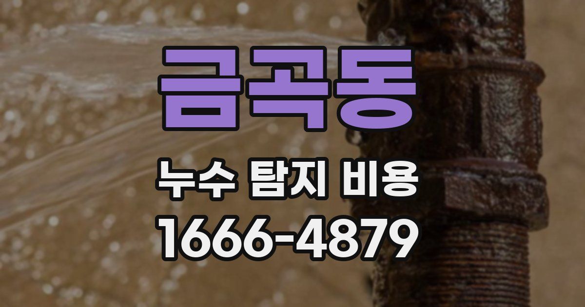 금곡동 누수 탐지 비용