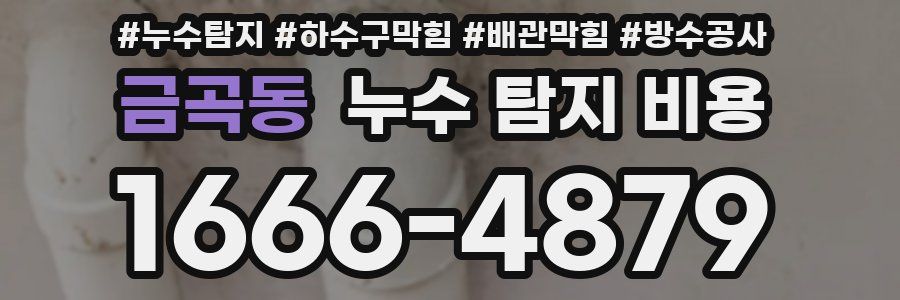 금곡동 누수 탐지 비용