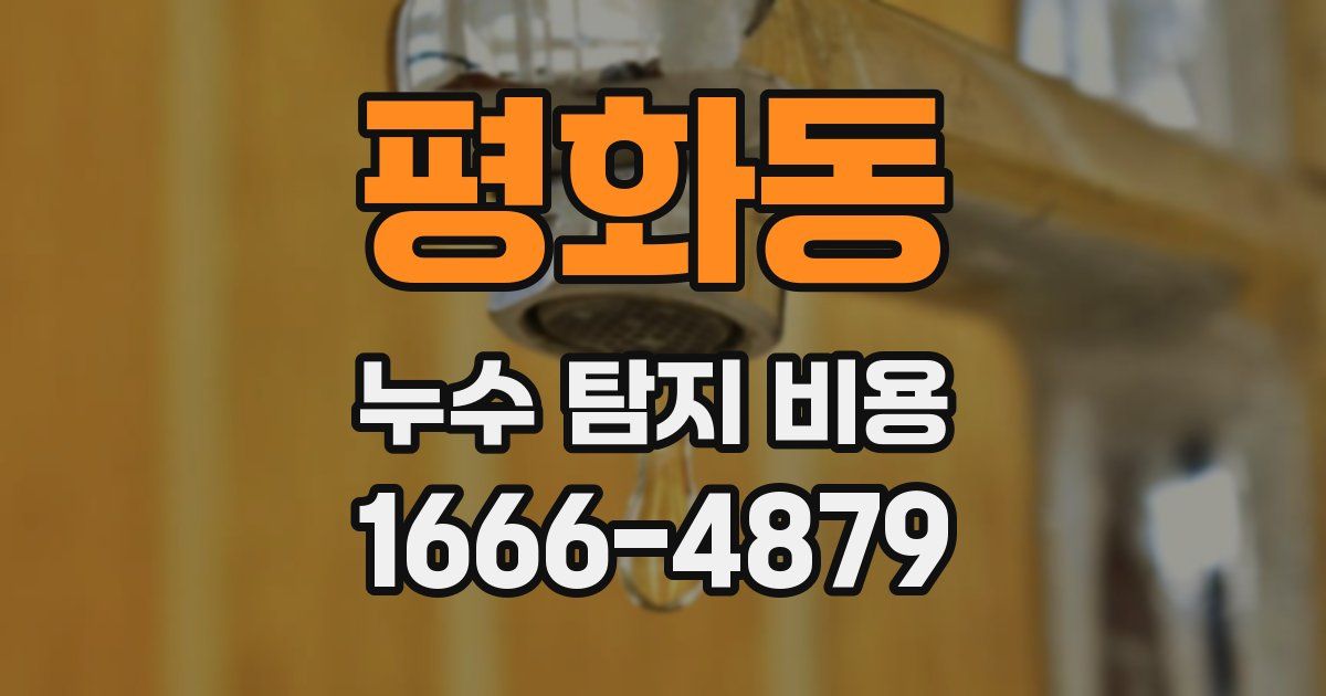 평화동 누수 탐지 비용